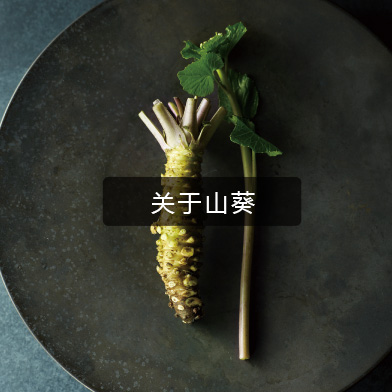 About Wasabi