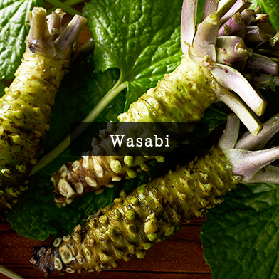 Wasabi