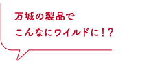 鴨肉の温燻 鰻たれといちじくの香り