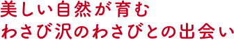 美しい自然が育む わさび沢のわさびとの出会い