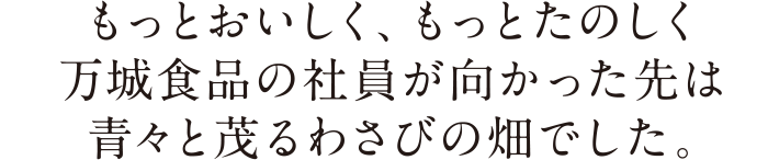 もっとおいしく、もっとたのしく　万城食品の社員が向かった先は青々と茂るわさびの畑でした。