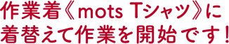 作業着《mots Tシャツ》に着替えて作業を開始です！