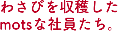 わさびを収穫したmotsな社員たち。