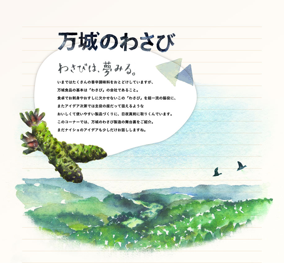 万城のわさび。わさびは、夢みる。いまではたくさんの香辛調味料をおとどけしていますが、万城食品の基本は「わさび」の会社であること。食卓でお刺身やおすしに欠かせないこの「わさび」を超一流の脇役に、またアイデア次第では主役の座だって狙えるようなおいしくて使いやすい製品づくりに、日夜真剣に取りくんでいます。このコーナーでは、万城のわさび製造の舞台裏をご紹介。まだナイショのアイデアも少しだけお話ししますね。