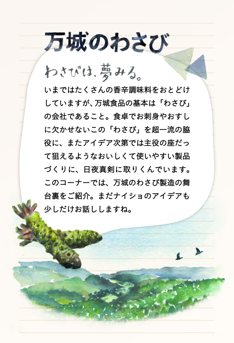 万城のわさび。わさびは、夢みる。いまではたくさんの香辛調味料をおとどけしていますが、
万城食品の基本は「わさび」の会社であること。食卓でお刺身やおすしに欠かせないこの「わさび」を超一流の脇役に、またアイデア次第では主役の座だって狙えるようなおいしくて使いやすい製品づくりに、日夜真剣に取りくんでいます。このコーナーでは、万城のわさび製造の舞台裏をご紹介。まだナイショのアイデアも少しだけお話ししますね。