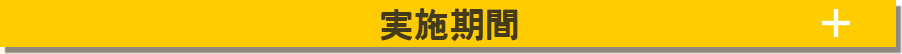 実施期間