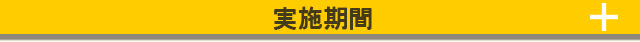 実施期間