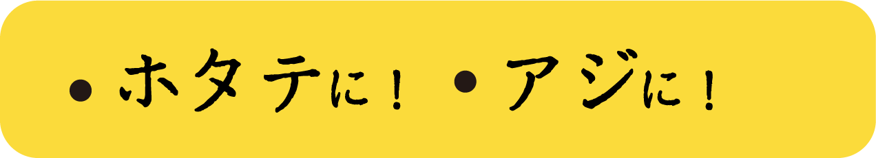 ホタテに！アジに！